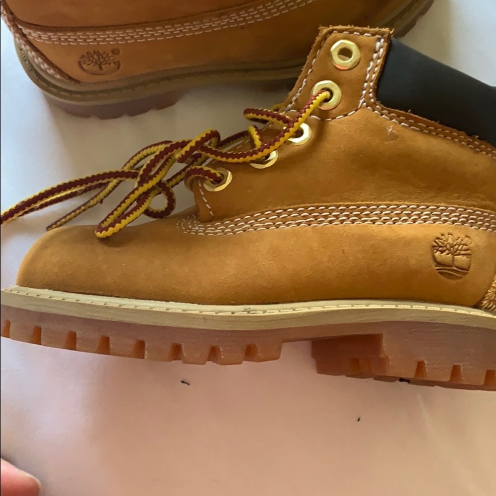 Brown timberland